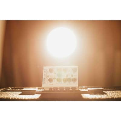 [3-Day Intl Shipping] DSM & Humboldt Electronics Simplifier MKII Bild 6
