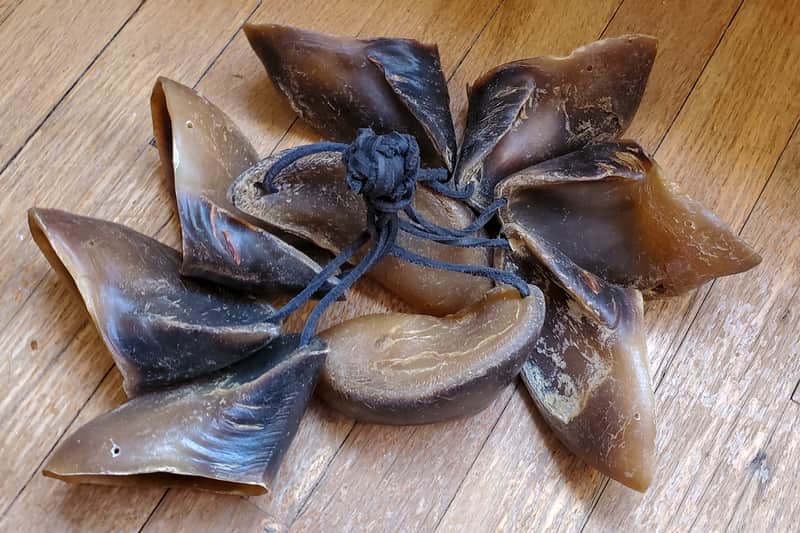 Hoof Rattles Set of 2 image 1