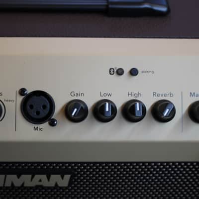 Fishman Loudbox Mini Bluetooth 60 watt 2 Channel Acoustic Guitar Amplifier image 3