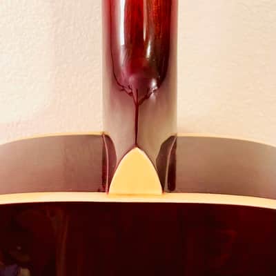 Washburn  F-10S Acoustic Folk Guitar Solid Spruce Top Mahogany Back Sides 2020 Natural/Cherry image 18