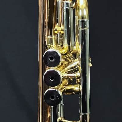 SCHILLER Shepards Crook Pro Elite Cornet in Brushed Rose 2019 image 14