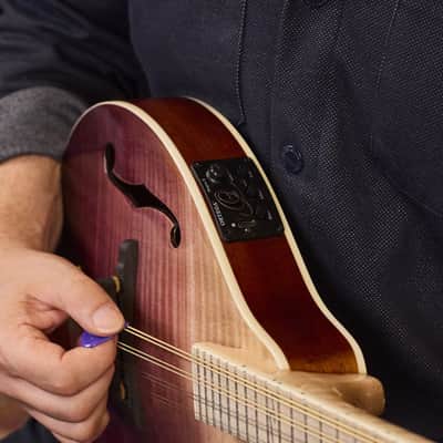 Ortega RMAE200PF Americana Series A-Style Solid Flamed Maple Top Maple Neck 8-String Acoustic-Electric Mandolin w/Croco Leather Case image 17