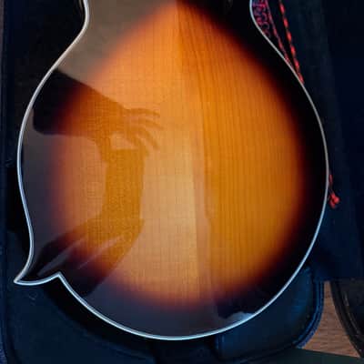 Washburn M3SWK Bluegrass F-Style Mandolin 2010s - Sunburst image 5