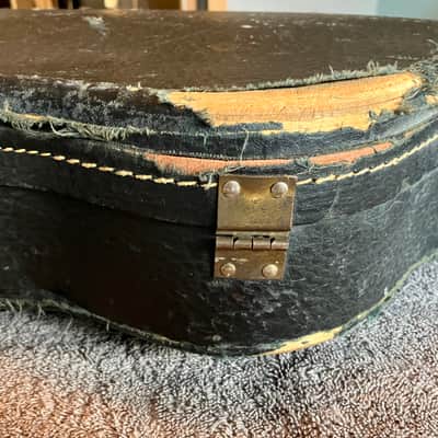 Ess & Ess guitar case image 13