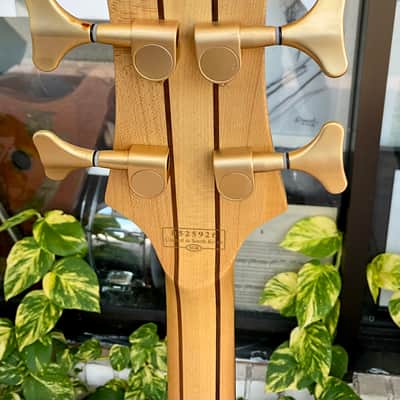 Schecter Diamond Series-Custom 4-String Bass image 9