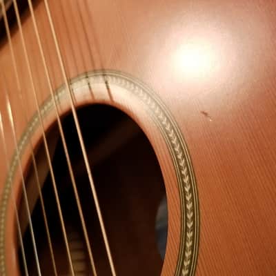 seagull artist artist mosaic CW folk deluxe Qii n/a laquer matte image 9