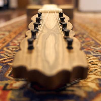 Artimúsica Traditional Luthier 10 String "Viola de Arame" Madeira image 17
