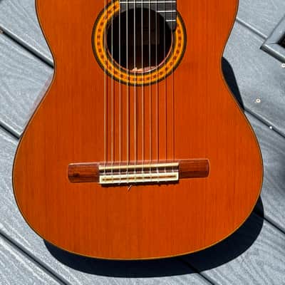 Batiste Bofi Concierto 10-String Classical 1984 - stunning 41 year old Indian Rosewood special order from Valencia Spain. image 1