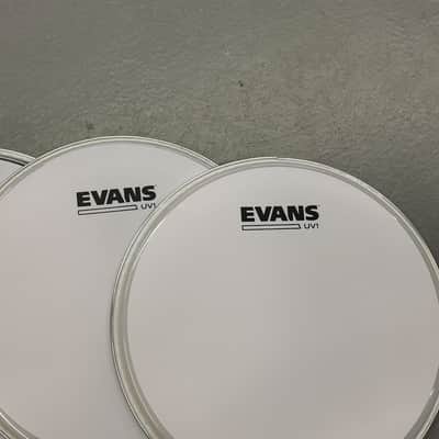 Evans Drum Head UV1 / UV2 - 10'' Coated, Kit of 3 image 2