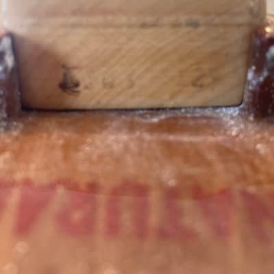 Fender Telecaster Thinline 1973 - 1978 - Walnut (Mocha) image 18