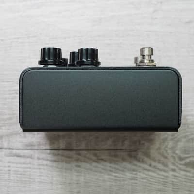Strymon IRIDIUM image 4