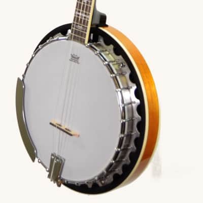 Washburn B10-A 5 String Banjo 2021 image 8