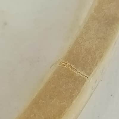 Slingerland 12" Genuine Calf Skin Tom Tom Drum Head Batter/Resonant Vintage 50s image 5