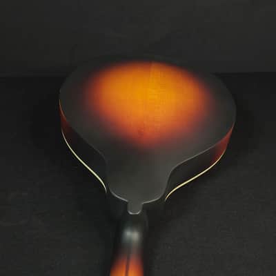 Eastman MD304E Electric A Style Oval Hole Electric K&K Mandolin with Bag image 18