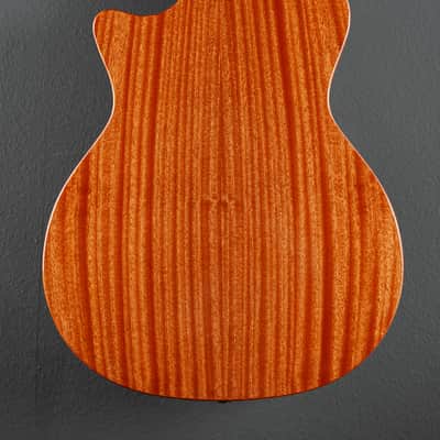 Taylor 314CE Studio Special Edition image 3