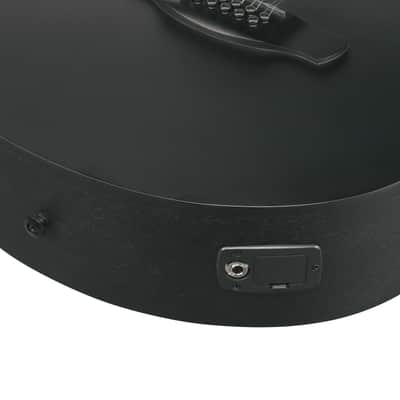 Ibanez AEG1221-BOT image 7