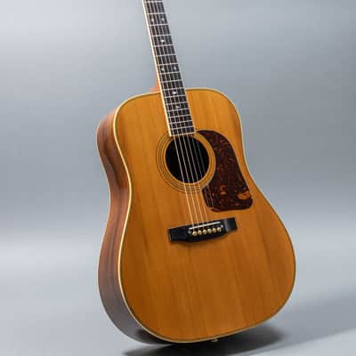 Gallagher G-70 1971, Natural image 5