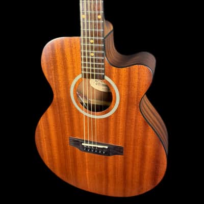 James Neligan DEV-ACFI Deveron series, Auditorium Electro Acoustic Guitar image 4