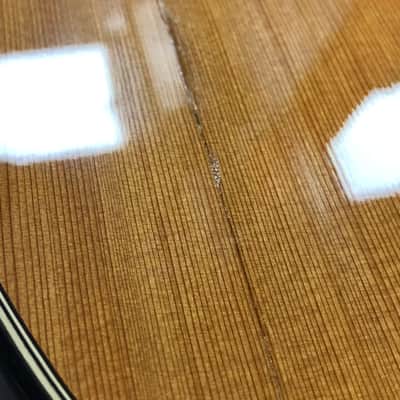 Taylor Custom GA Nylon String, 2012, with Case - Pre Owned image 24