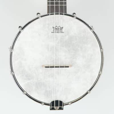Kala KA-BNJ-MHG-C Mahogany Banjo Concert image 1