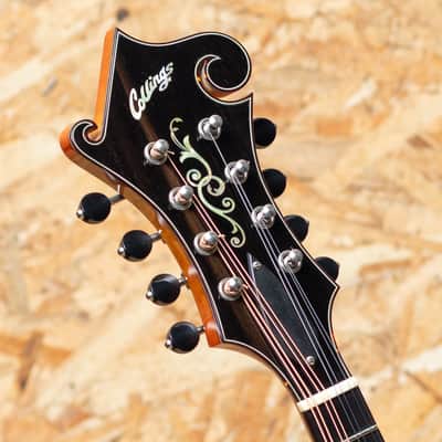 Collings MF5 2012 image 8