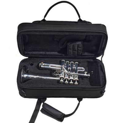 S.E. Shires TRQ9S Q-Series Professional Bb/A Piccolo Trumpet SN 8615 image 16