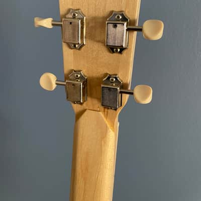 Taconic #221 String Electric Cigar Box Mandolin - Padron Damaso - Sherwood Green - Video image 15