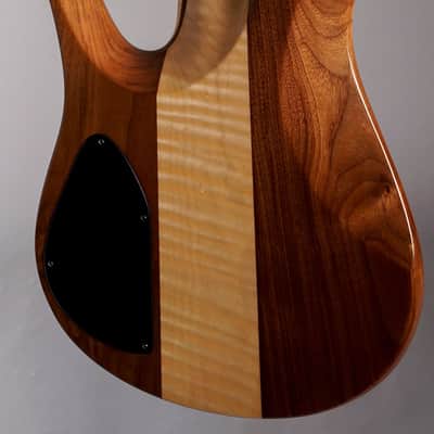 Fodera Imperial Elite 5 - Flame Maple Top image 6