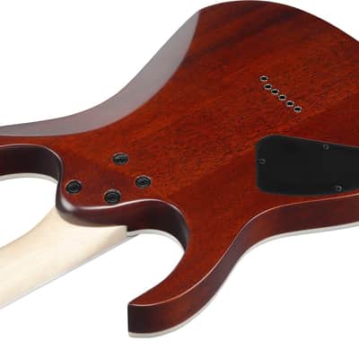 Ibanez RG421S Electric Guitar Sea Shore Matte image 5