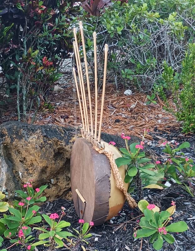 African-style pluriarc (compound musical bow): Extra large image 1