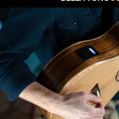 Washburn BTSC40SCE Bella Tono Studio Acoustic Electric Guitar Cutaway image 18
