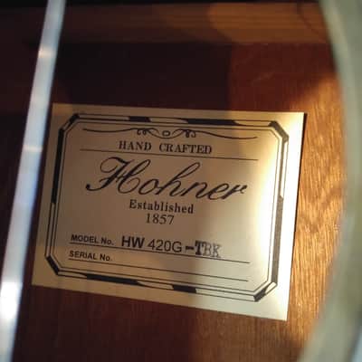 Hohner HW-420G Dreadnought Acoustic Transparent Black image 5