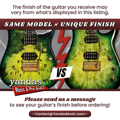 Immagine Schecter Standard Series Avenger | Blood Burst - 6