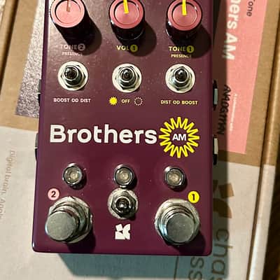 Chase Bliss Audio Brothers AM 2025 - Present - Various image 1