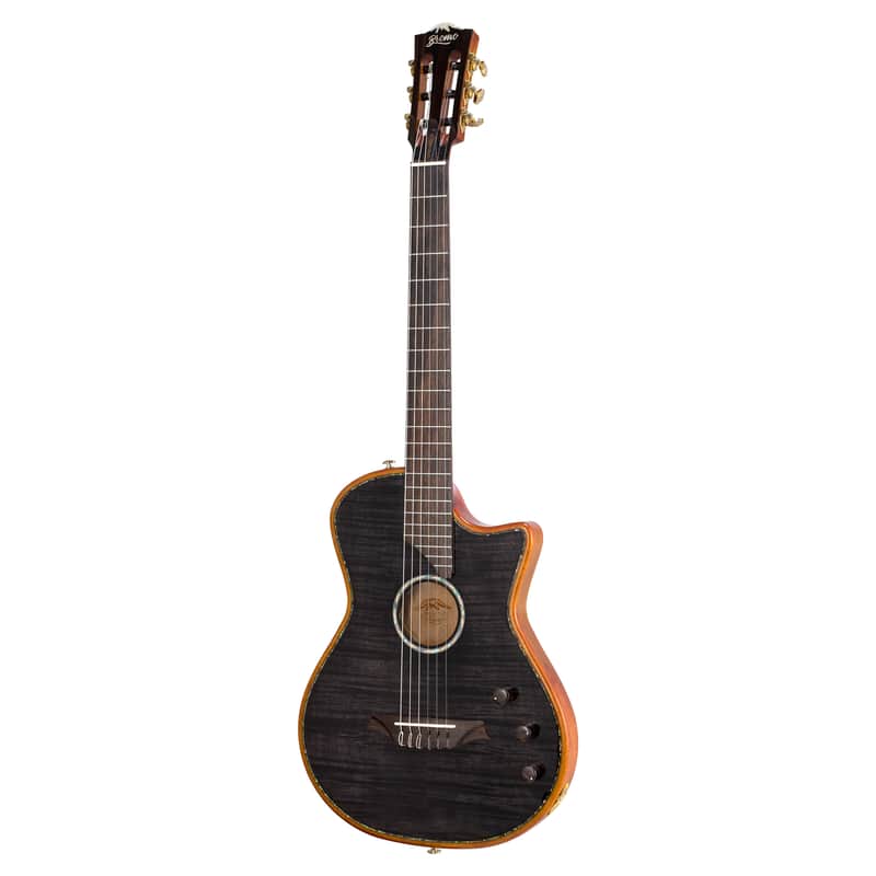 Bromo BEN2C Electric Nylon String Guitar, Thinline Fully Chambered Semi-Hollow Body Slim Neck Dual Pickup Stage Live Performance Fusion Classical Guitar with Hard Case (Transparent Black) image 1