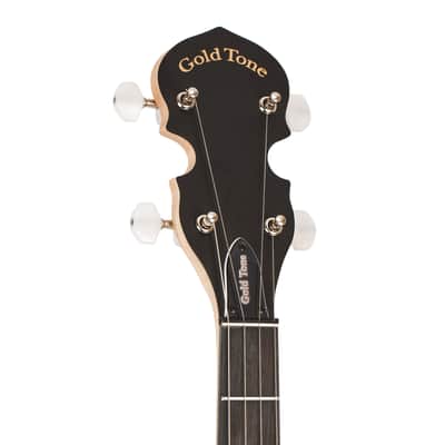 Gold Tone AC-5: Acoustic Composite 5-String Banjo w/Gig Bag image 6