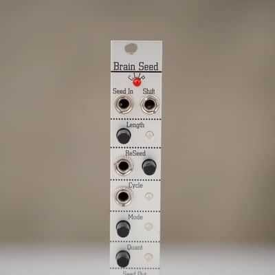 Antimatter Brain Seed Eurorack Module #58470 image 3