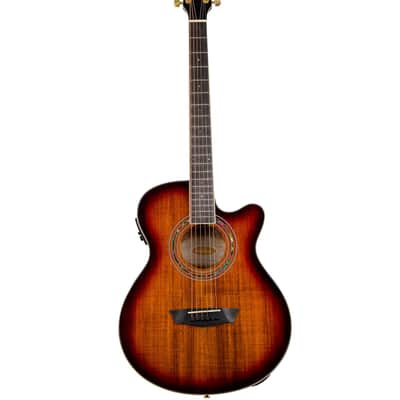Washburn EA55G-A | Mini-Jumbo Acoustic / Electric Exotic Koa Burst. New with Full Warranty! image 2