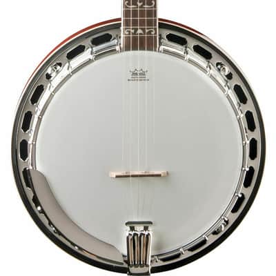 Washburn B16K Americana Series Maple Neck Wood 5-String Banjo w/Remo Head & Hardshell Case image 5