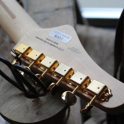 FGN "Expert Odissey Ripe Kaki Gradiation" HARDCASE, 3, 38 KG image 15