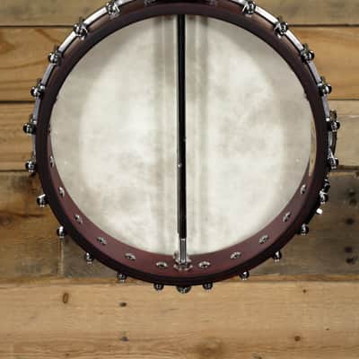 Washburn Americana B6 6-String Open Back Banjo Natural image 3