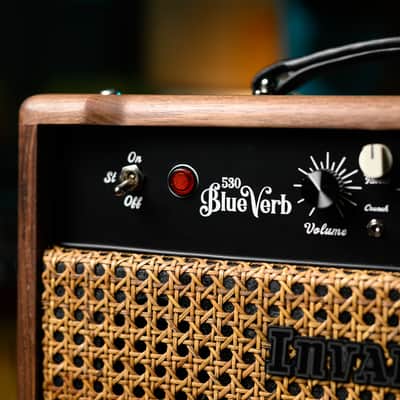 Invaders Amplification - 530 BlueVerb - 30W/15W - 6L6 - Solid Wood (Head / Cabinet) image 4