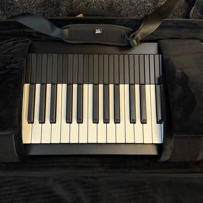 Expressive E Osmose 49-Key 24-Voice Polyphonic Synthesizer 2022 - Present - Black image 7