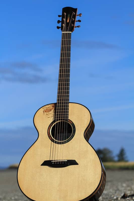 TreeHouse OMZ Acoustic Guitar - Italian Spruce over Ziricote image 1