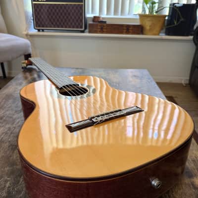 Aria A-405 Full Size Classical Guitar, With Hard Case And Free Shipping image 2