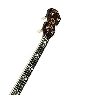 Gold Tone TS-250/L Tenor Special 4-String Banjo w/Hardshell Case For Left Handed Players - (B-Stock) image 7