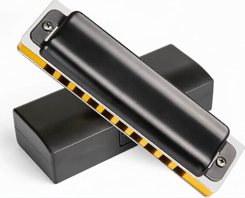 Diatonic Harmonica of C Key,Blues Mouth Organ 10 Holes 20 Tones, Reed of Phosphor Bronze, ABS Combo, Easy-Clean Cover,10 Holes Blues Harp for Adult, Beginner image 1