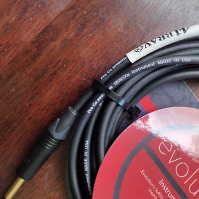 Instrument Cable 25-foot ProCo EVLGCLN-25 ANG-STR image 4