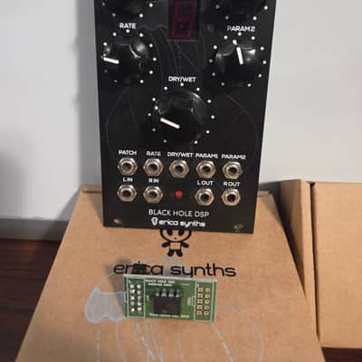 Erica Synths Black Hole DSP + Dsp expansion chip image 1