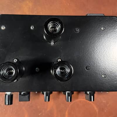 D. Kowalski Dark Gene Green (JCM 800-Style) 1/2W Amp Head with Pelican Case image 3